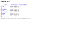Desktop Screenshot of mirrors.develooper.com